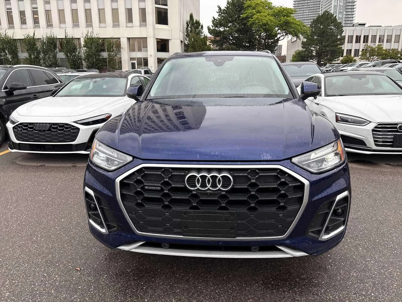 Audi Q5 Progressiv/360/DIS/LED/ОТ ПРЕДСТАВИТЕЛСТВО, снимка 6 - Автомобили и джипове - 55650321