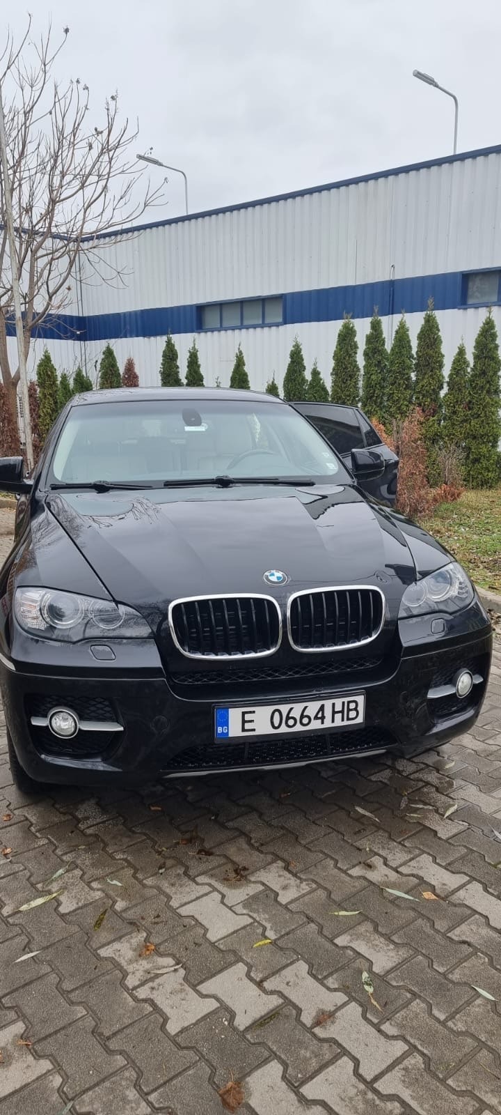 BMW X6 3.0D, снимка 2 - Автомобили и джипове - 44245638