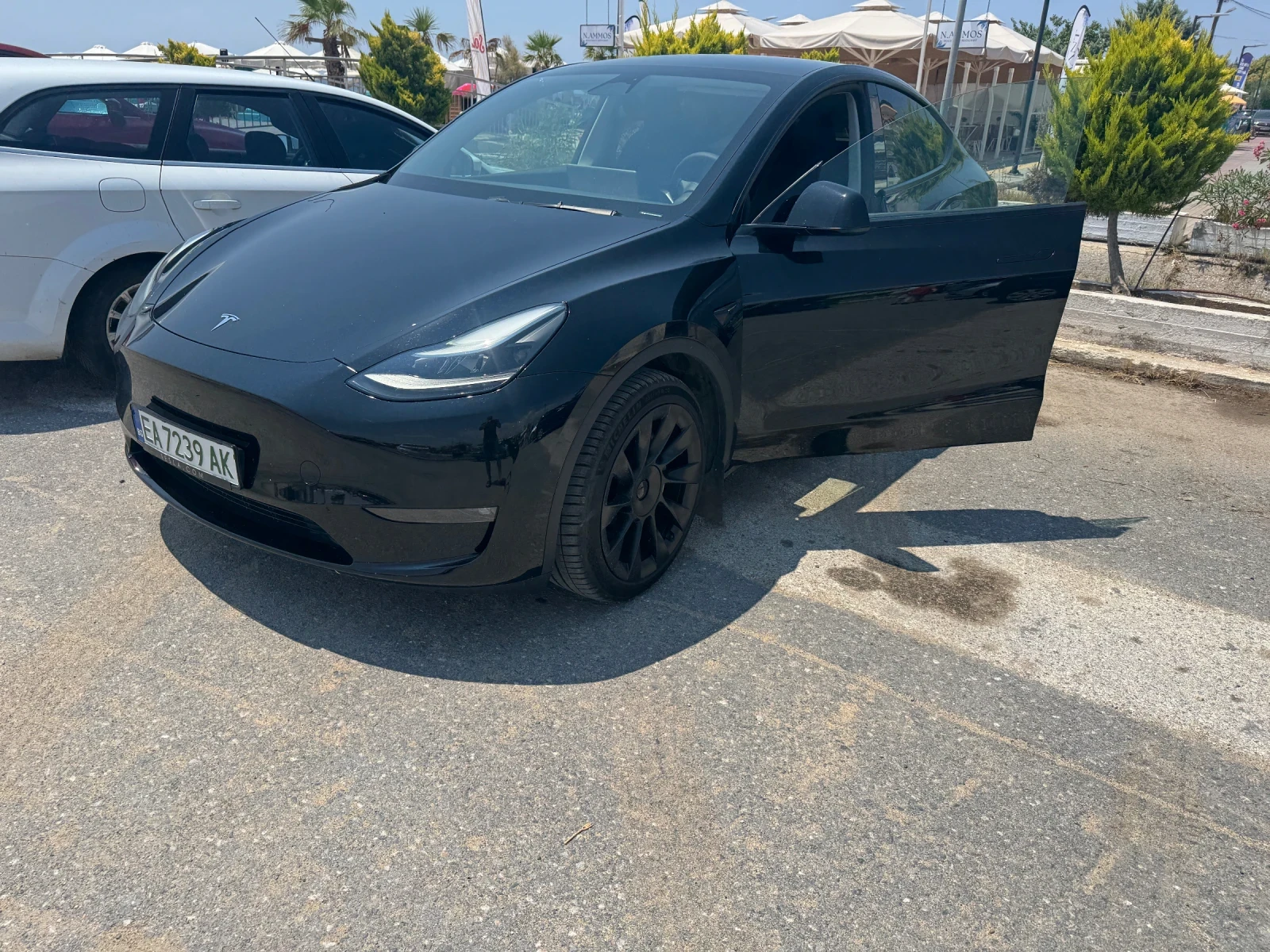 Tesla Model Y Long Range Dual Motor AWD