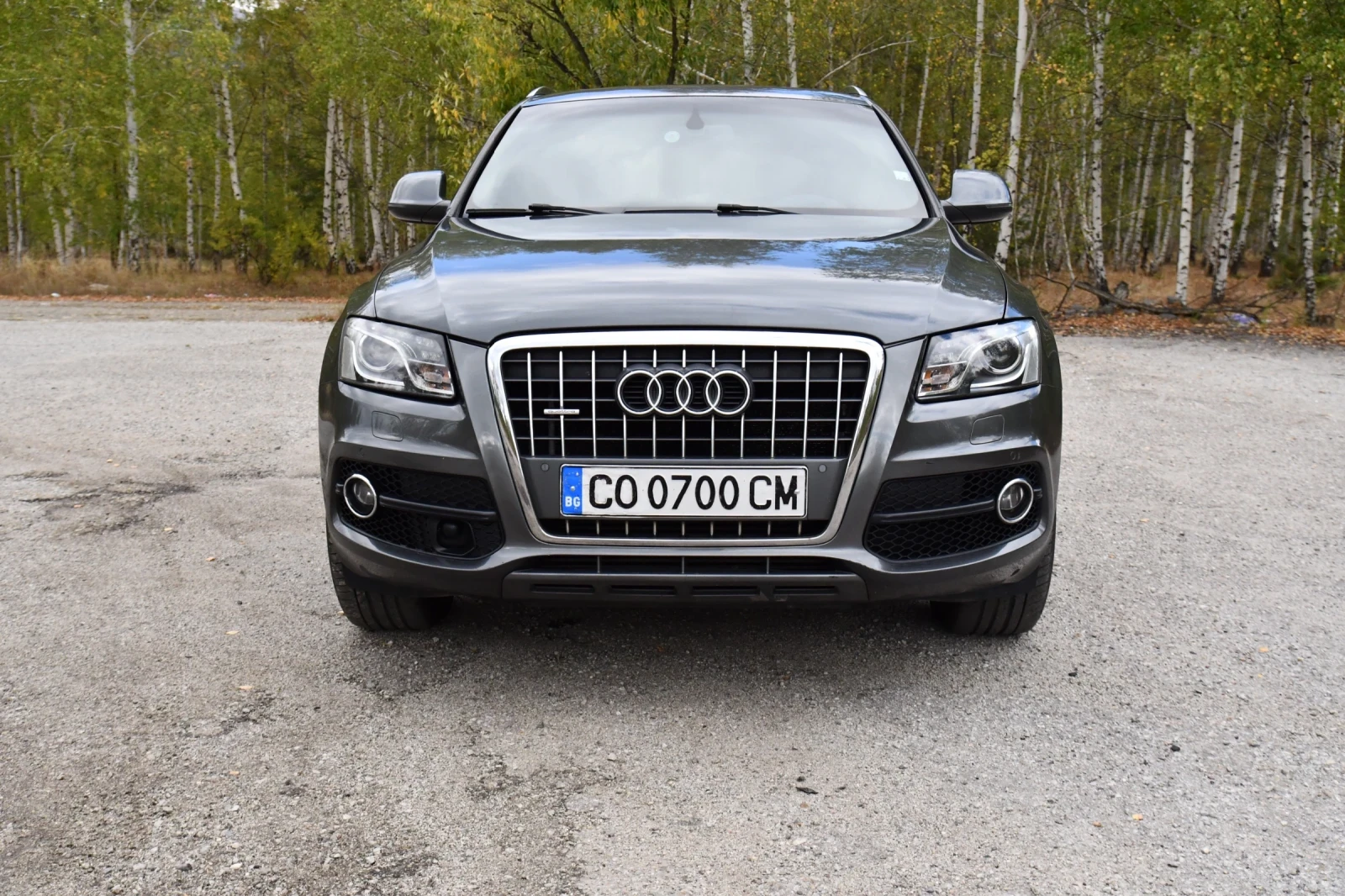 Audi Q5 3.0 TDI S-line | Mobile.bg   1