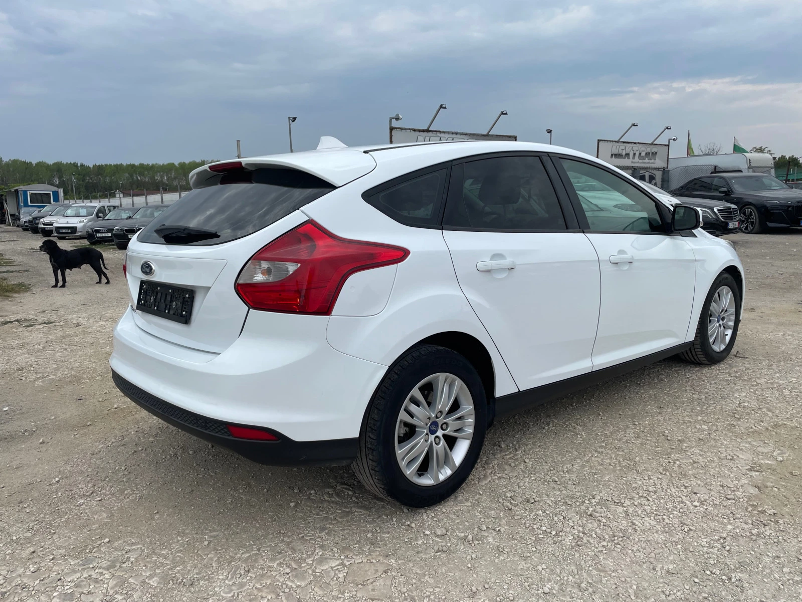 Ford Focus 1.6 tdci - изображение 7