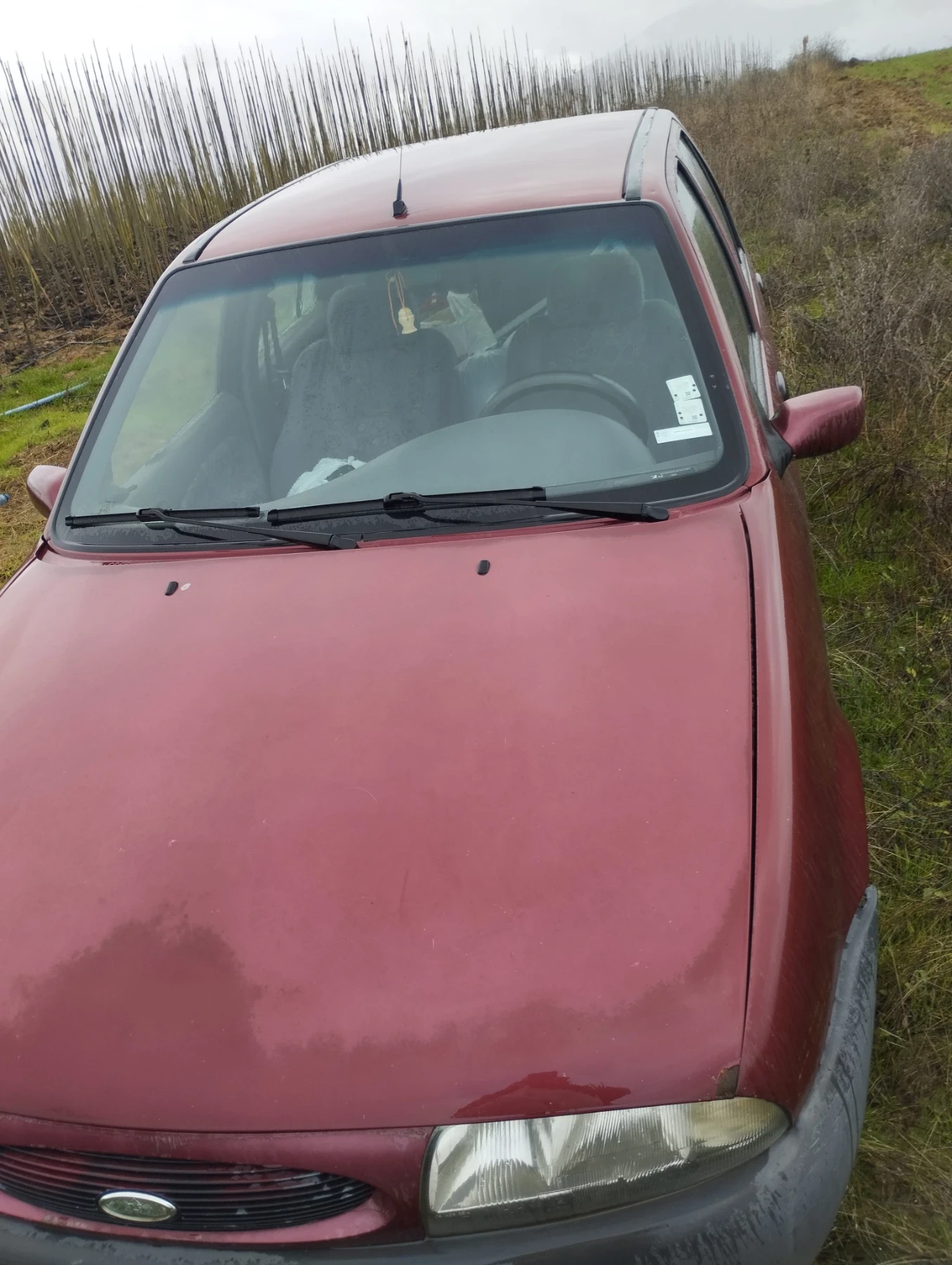 Ford Fiesta 1.25.    16V. Zetec  - изображение 4