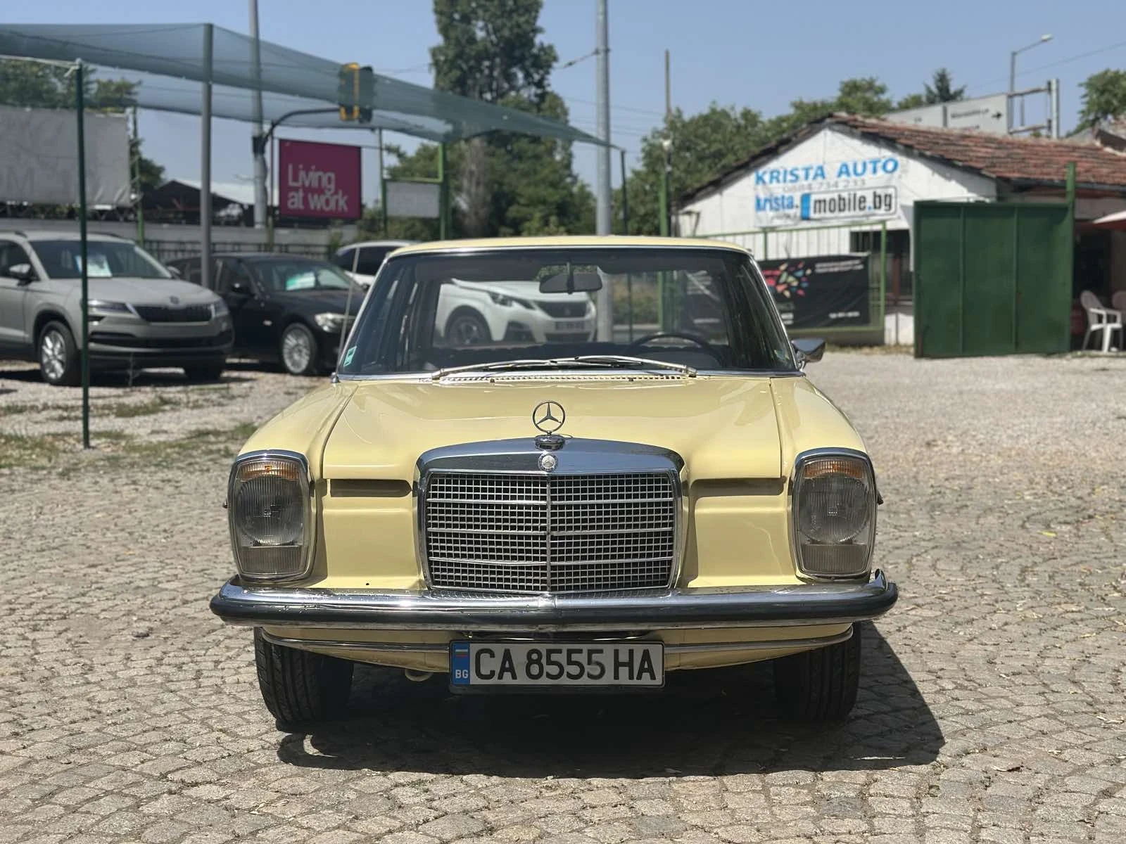 Mercedes-Benz 114 230  - изображение 3