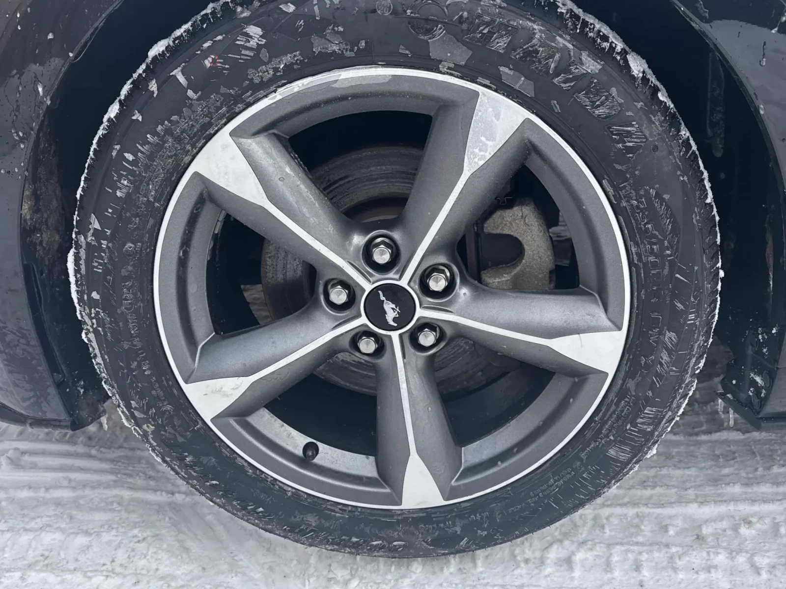 Ford Mustang V6 Fastback | Mobile.bg � ����������� 7