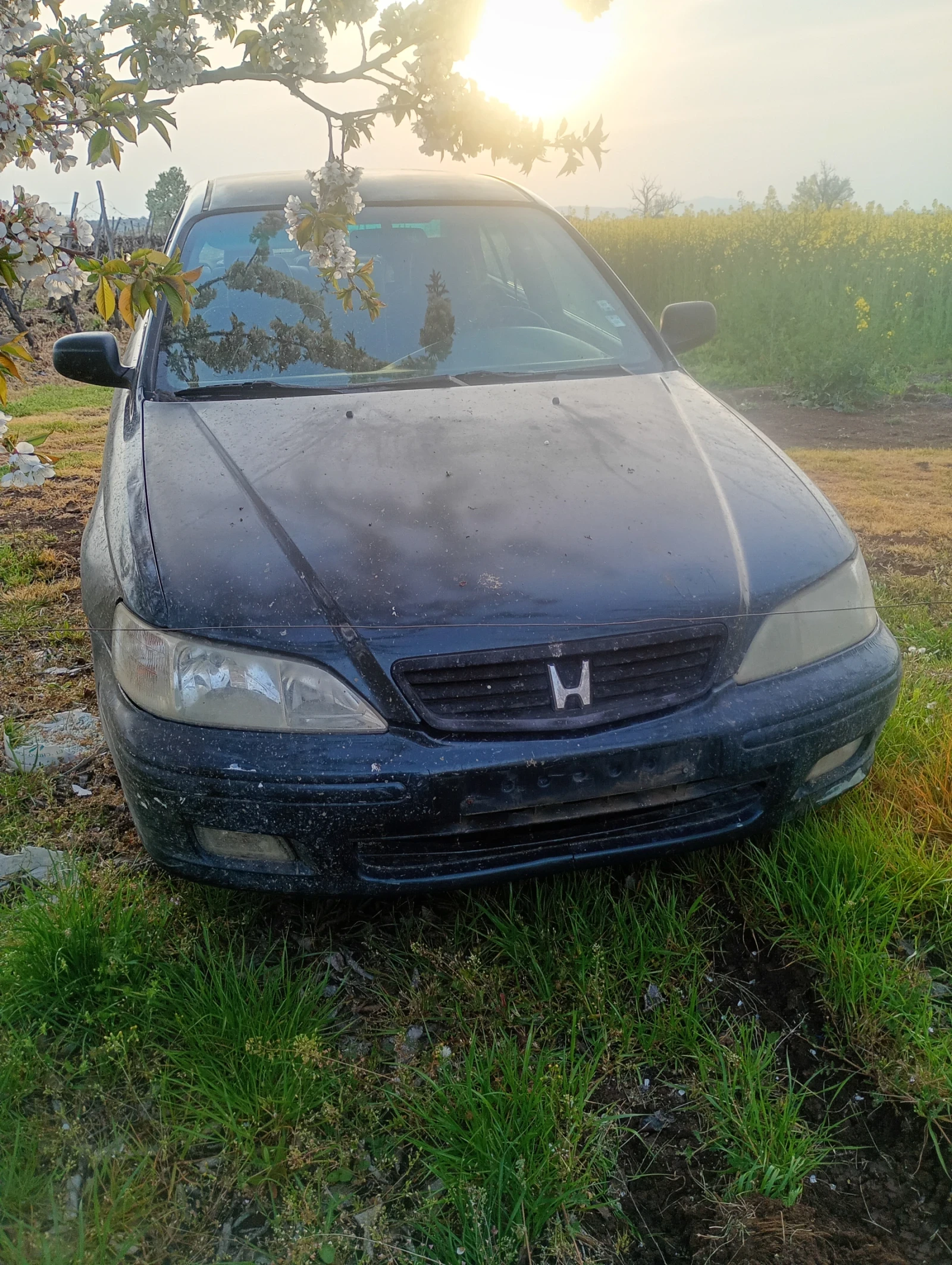 Honda Accord  на части 