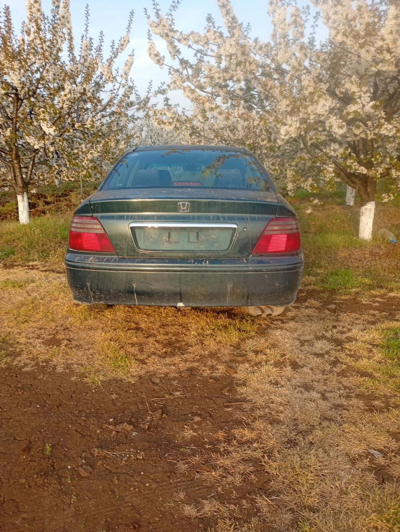 Honda Accord  на части , снимка 3 - Автомобили и джипове - 54196847