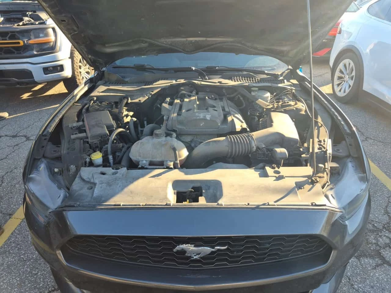 Ford Mustang * ECOBOOST PREMIUM * NAVI * ОБДУХВАНЕ * 2 КЛЮЧА * , снимка 14 - Автомобили и джипове - 54264196