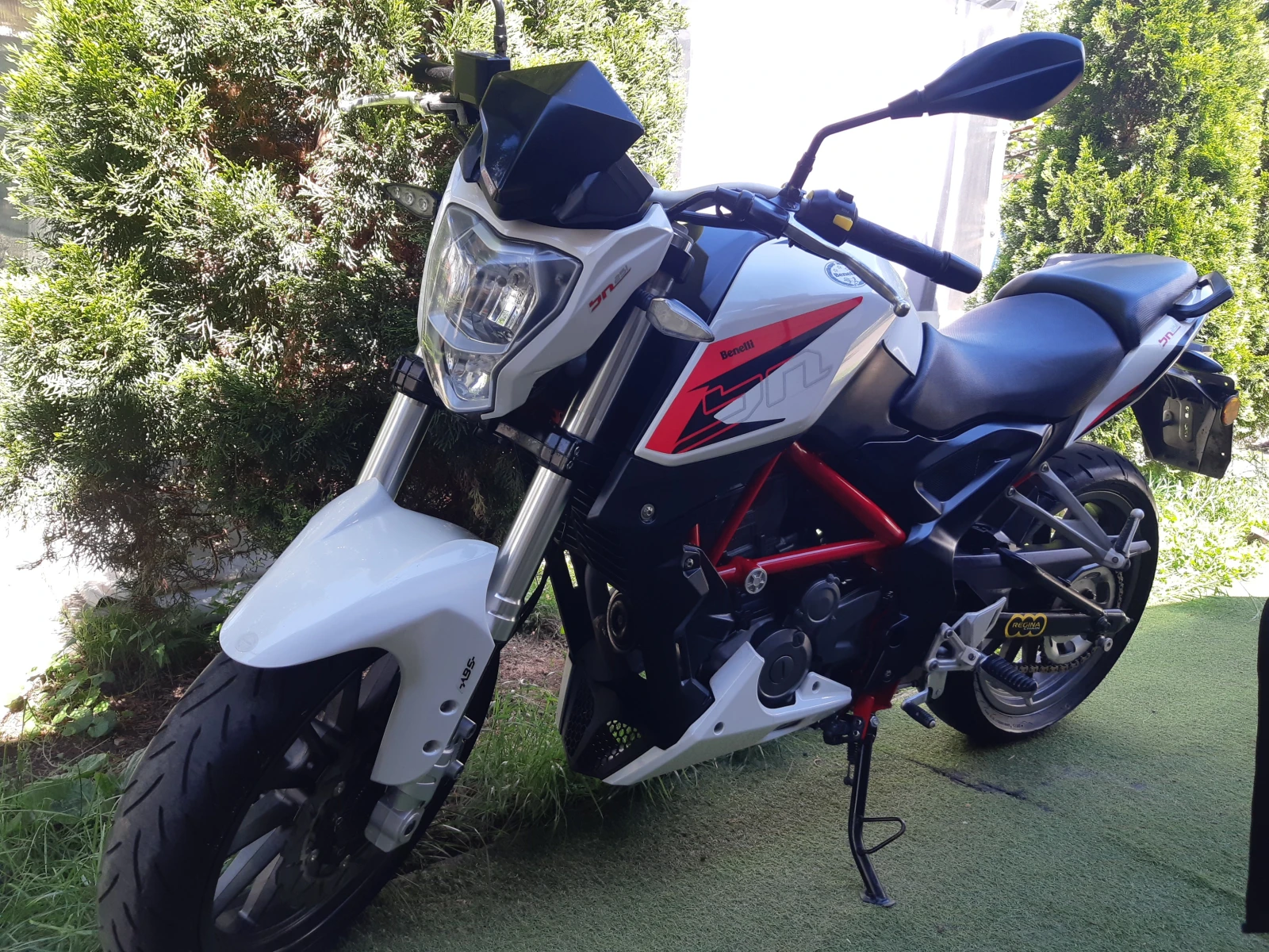 Benelli 250 Bn251 ABS 2021 - изображение 5