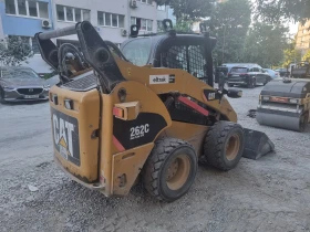        Cat 262