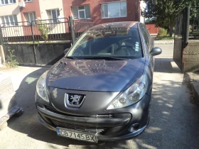 Peugeot 206 плюс