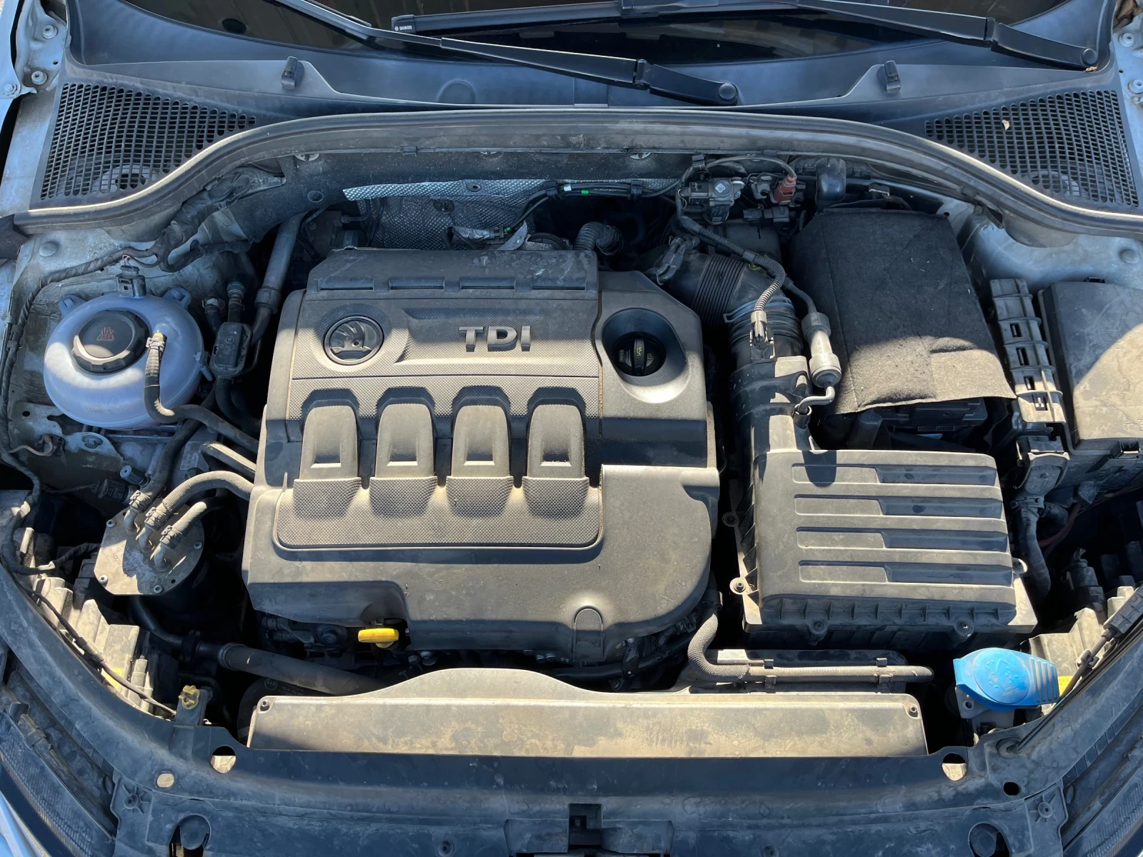 Skoda Octavia Skoda Octavia Scout 2.0 TDI DSG 4x4 �������� ��� | Mobile.bg � ����������� 14