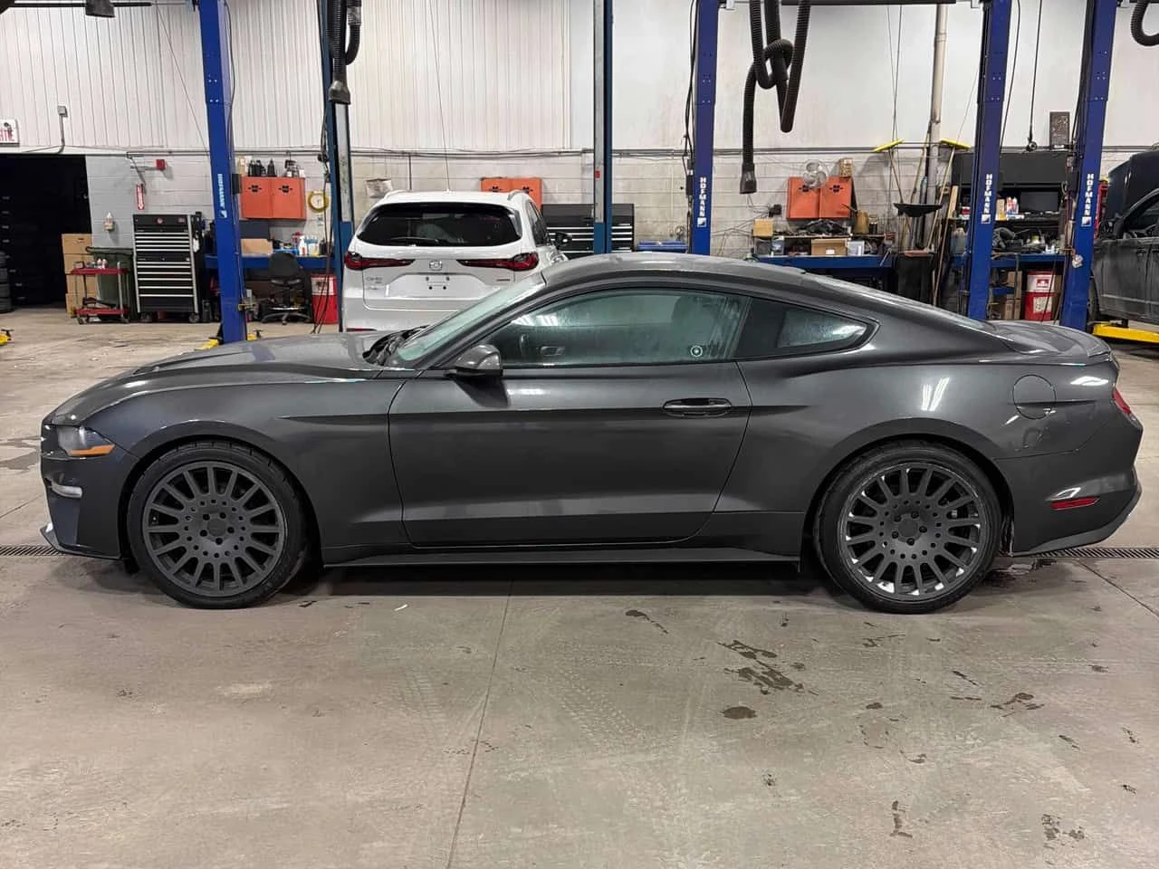Ford Mustang * EcoBoost * CARFAX * ��� ������������ ������ | Mobile.bg � ����������� 17