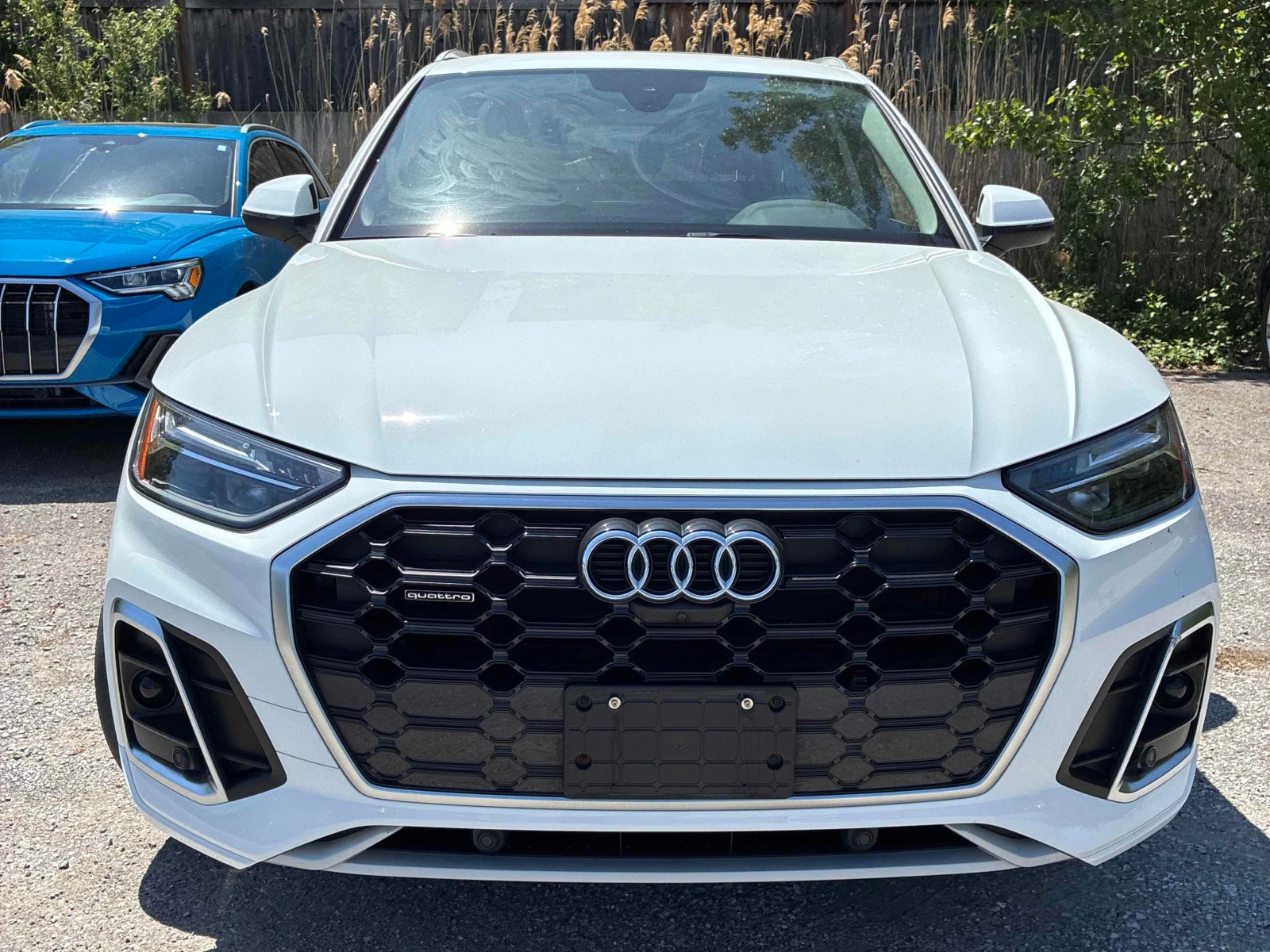Audi Q5 * Progressiv * CARFAX * ОПЦИЯ ЗА ФИНАНСИРАНЕ , снимка 6 - Автомобили и джипове - 55948439
