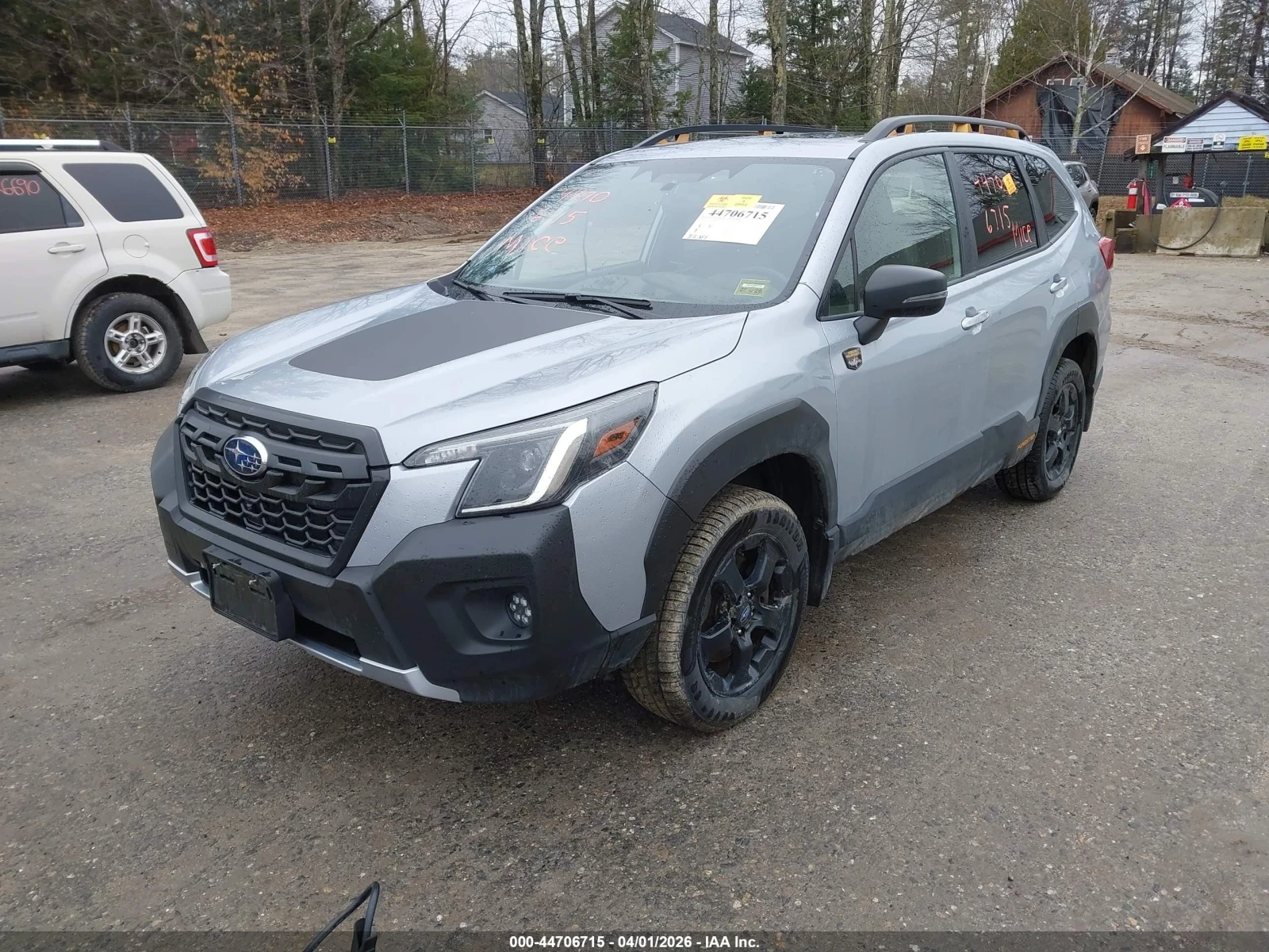Subaru Forester Wilderness | Mobile.bg � ����������� 1