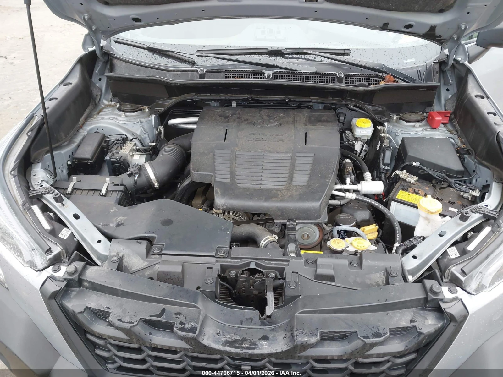 Subaru Forester Wilderness | Mobile.bg � ����������� 7