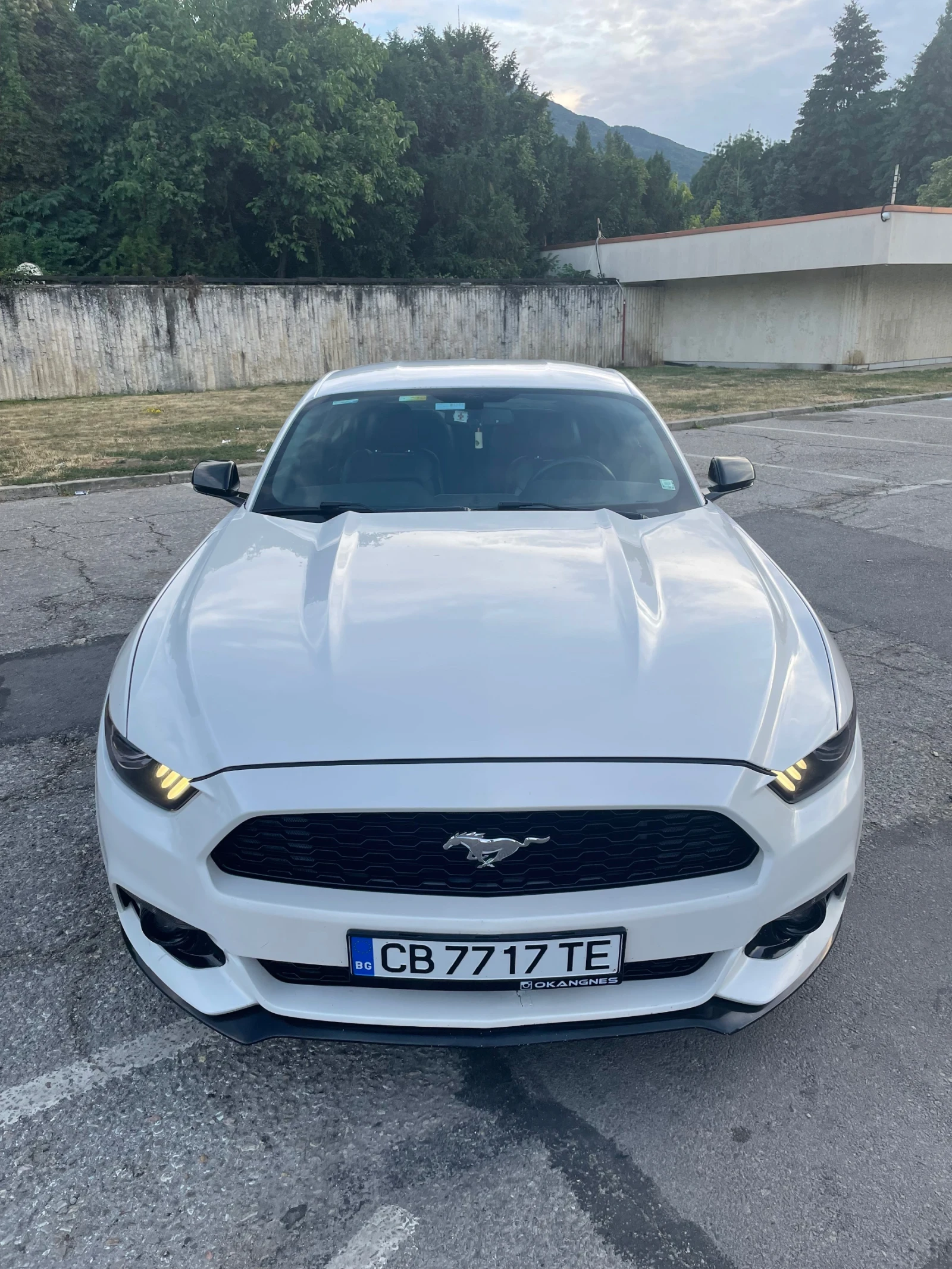 Ford Mustang 2.3 MUSTANG ECOBOOST PREM?UM PERFORMANCE  | Mobile.bg � ����������� 11