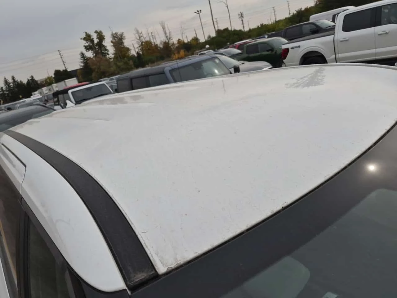 Kia Carnival * Fwd Lx * ���������� ��� ������������ ������*  | Mobile.bg � ����������� 7