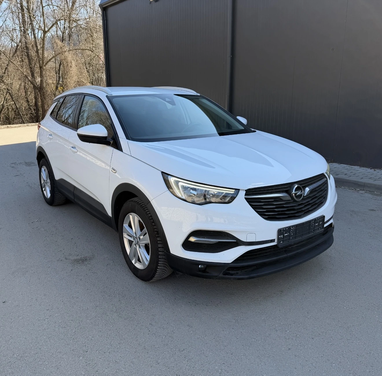 Opel Grandland X 1.6 | Mobile.bg � ����������� 1