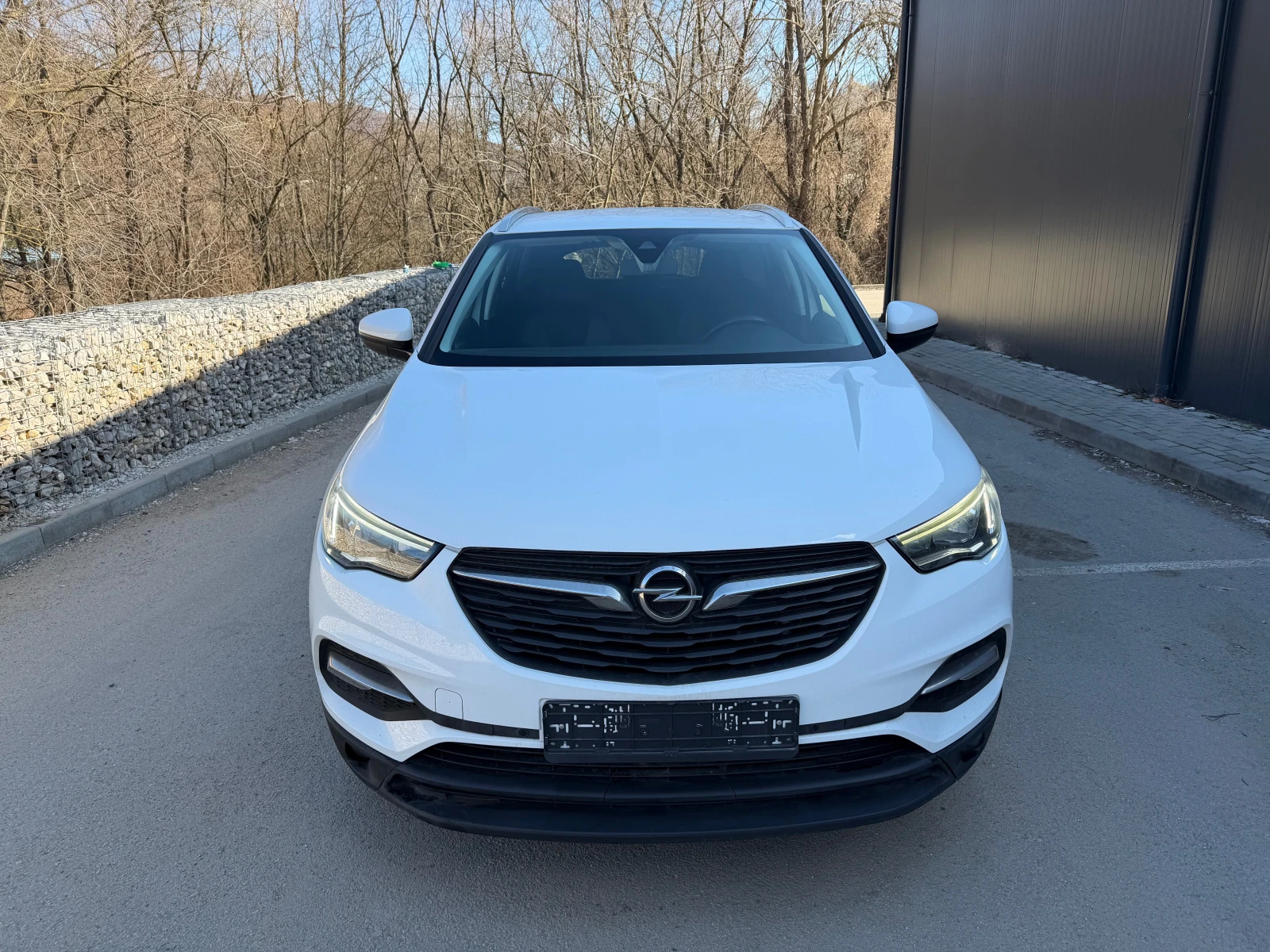 Opel Grandland X 1.6 | Mobile.bg � ����������� 3