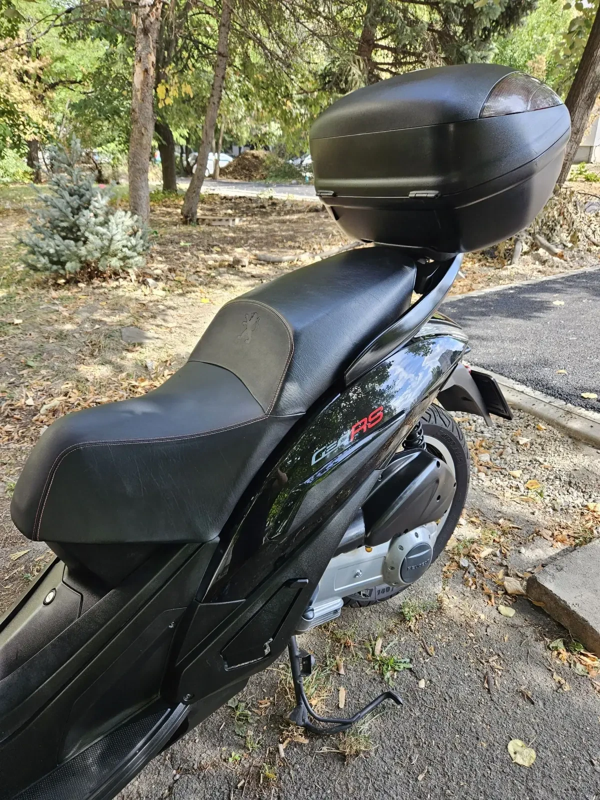 Peugeot Geopolis 250i  RS - изображение 6