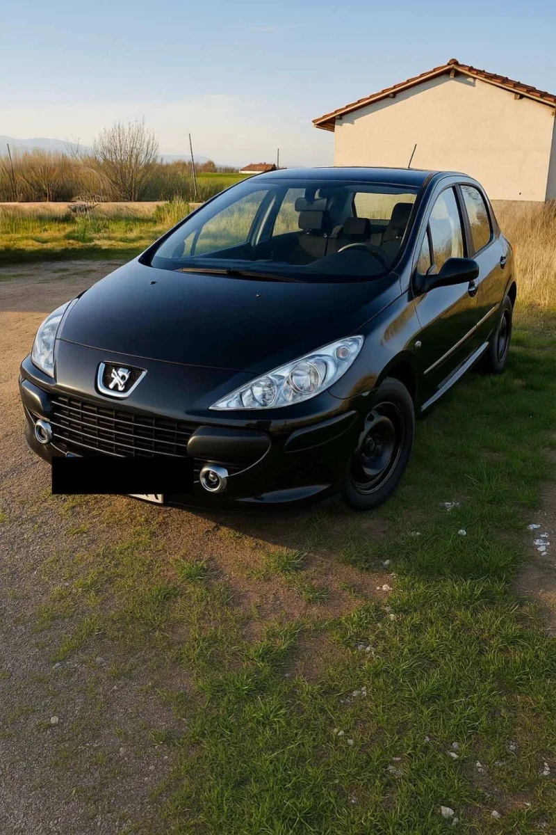 Peugeot 307