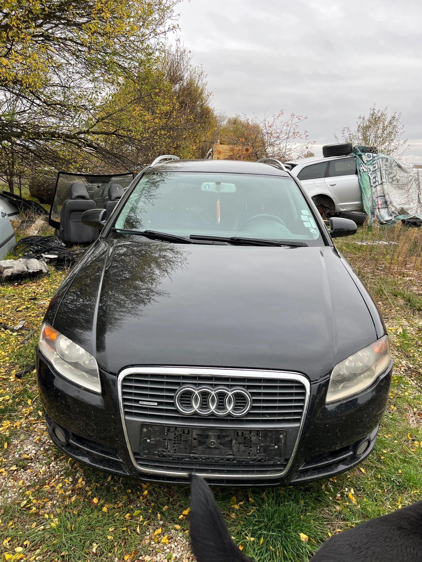 Audi A4 3.0TDI 204 ���� | Mobile.bg � ����������� 1