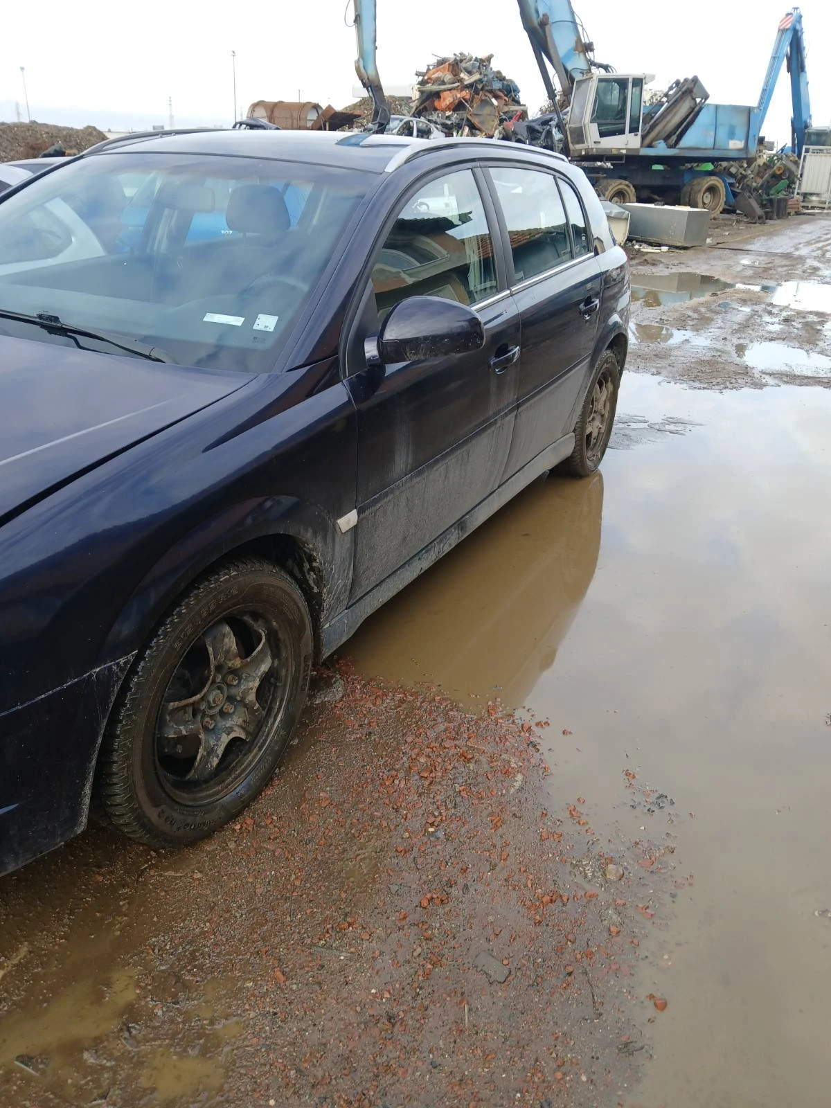 Opel Signum | Mobile.bg � ����������� 3