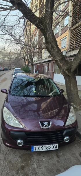 Peugeot 307 1.6, снимка 4