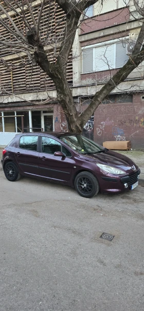  Peugeot 307