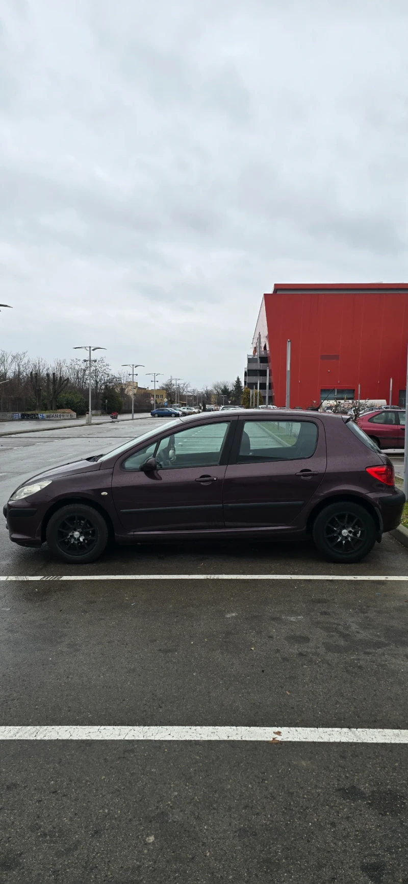 Peugeot 307 1.6, снимка 8 - Автомобили и джипове - 49156239