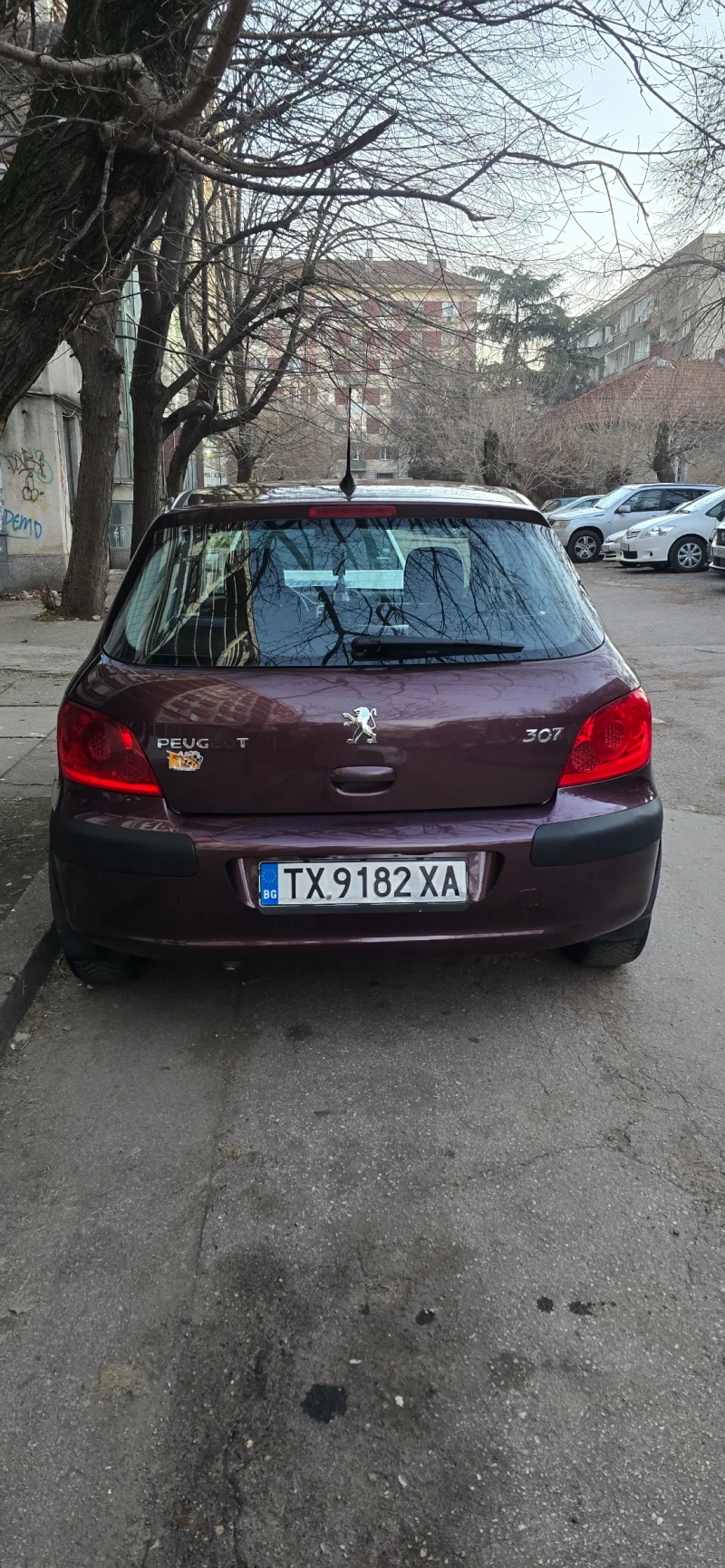 Peugeot 307 1.6, снимка 3 - Автомобили и джипове - 49156239