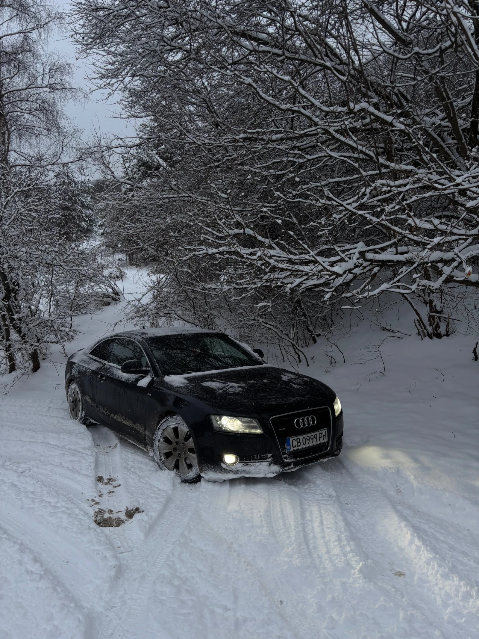 Audi A5 8т - изображение 4