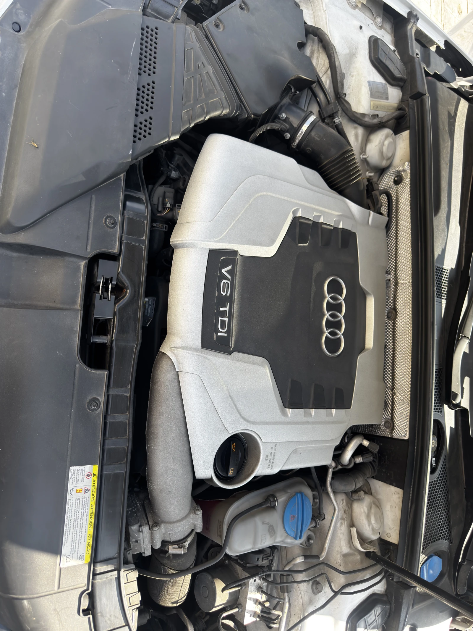 Audi A5  - изображение 3