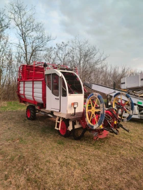 Друг вид Внос Bonino, снимка 3
