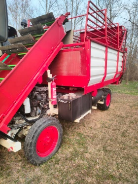 Друг вид Внос Bonino, снимка 7