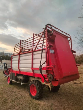 Друг вид Внос Bonino, снимка 5