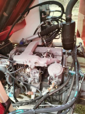 Друг вид Внос Bonino, снимка 6