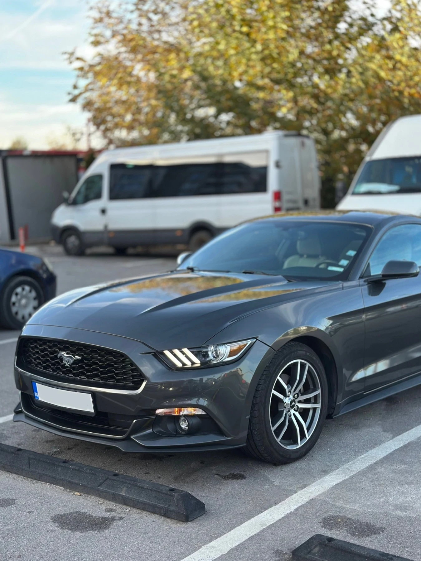 Ford Mustang 2.3 ECOBOOST - изображение 2