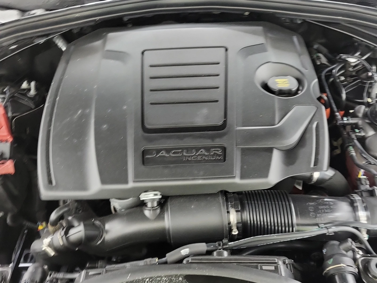 Jaguar F-PACE R-Dynamic S P250 | Mobile.bg � ����������� 16