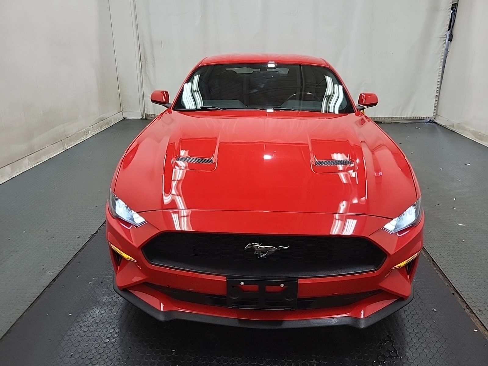 Ford Mustang ECOBOOST * * CARFAX * * АВТО КРЕДИТ * *  - изображение 3