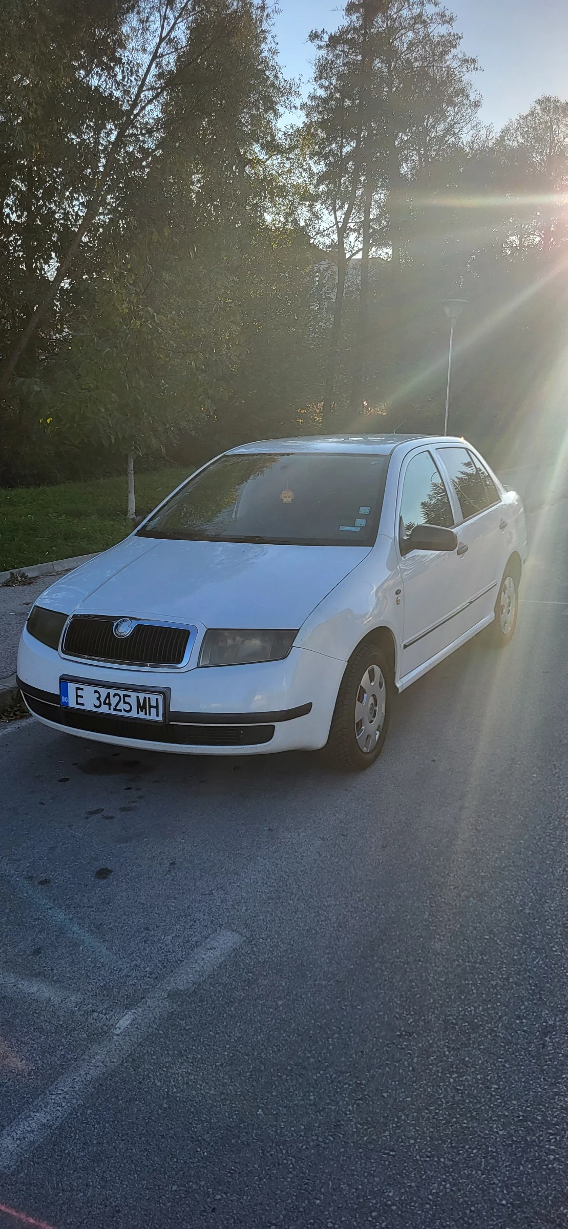 Skoda Fabia Газ - изображение 2