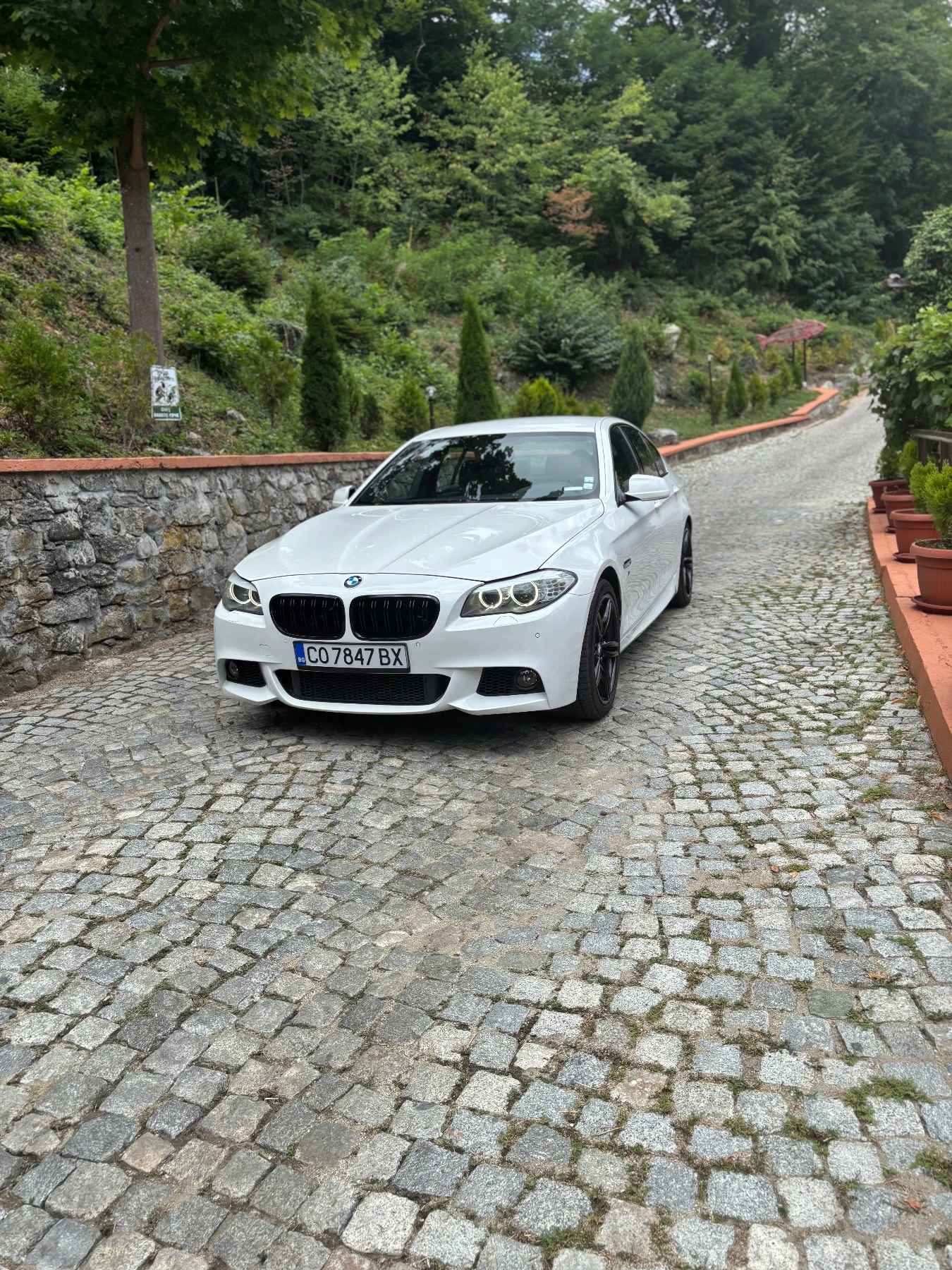 BMW 525 3.0 - | Mobile.bg   15