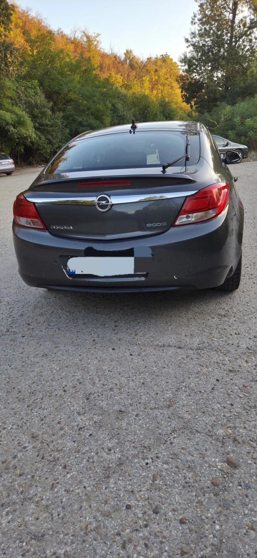 Opel Insignia, снимка 4 - Автомобили и джипове - 53930021