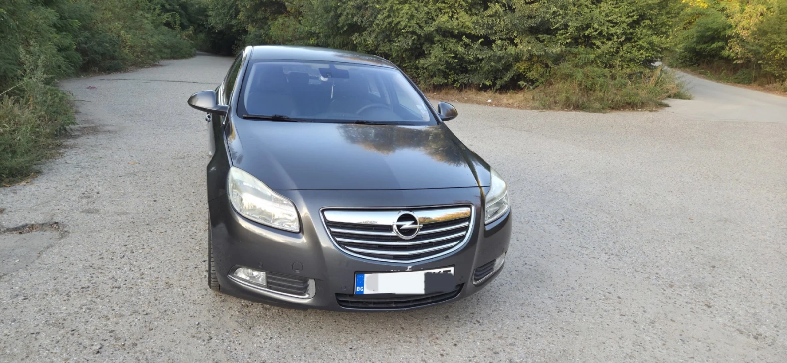 Opel Insignia, снимка 2 - Автомобили и джипове - 53930021