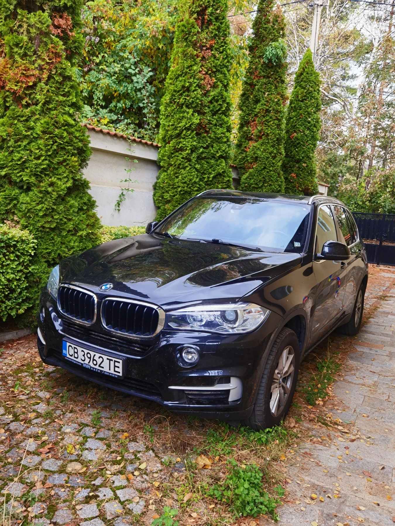 BMW X5