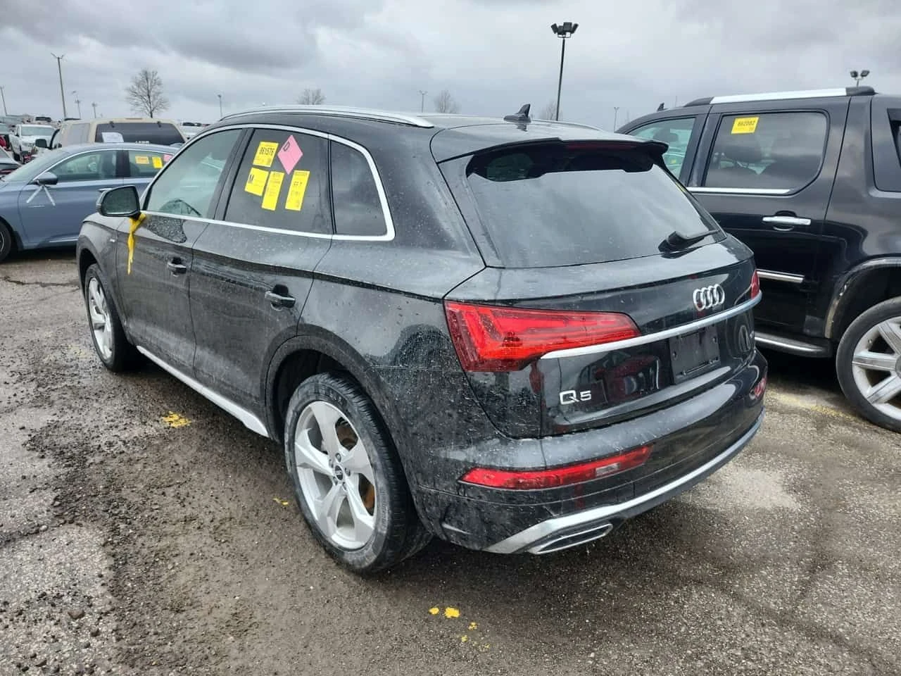 Audi Q5 PROGRESSIV S line | ПАНОРАМА | KEYLESS | CARFAX, снимка 4 - Автомобили и джипове - 53954835