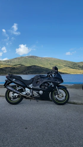 Suzuki Gsx  Katana, снимка 3
