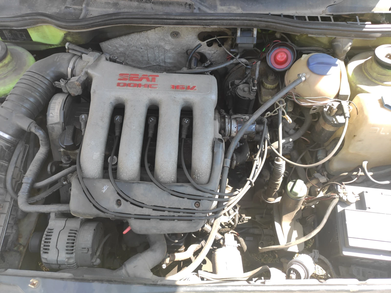 Seat Ibiza  - изображение 5