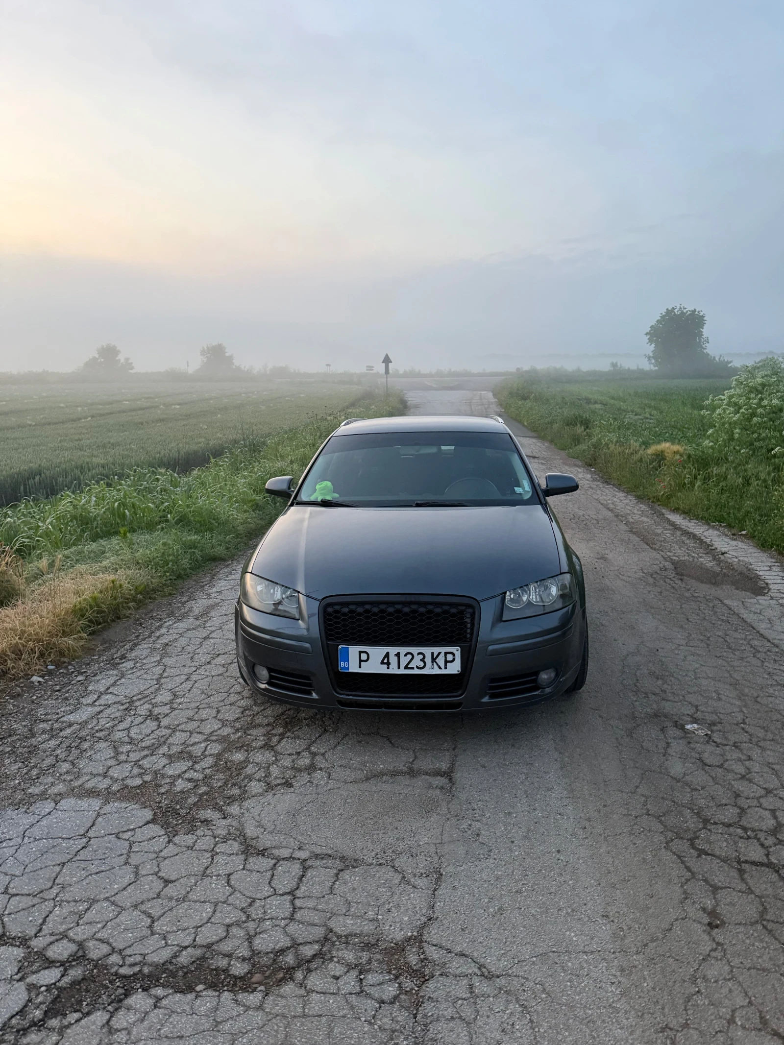 Audi A3, снимка 6 - Автомобили и джипове - 55439718