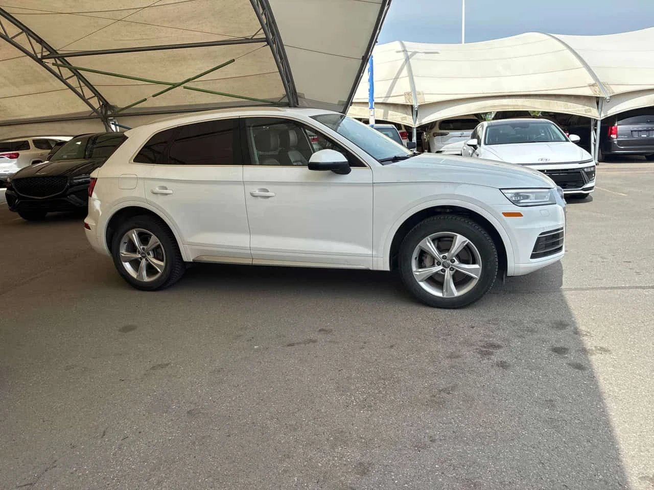 Audi Q5 * Progressiv * CARFAX * ЦЕНА ДО БГ, снимка 3 - Автомобили и джипове - 54933400
